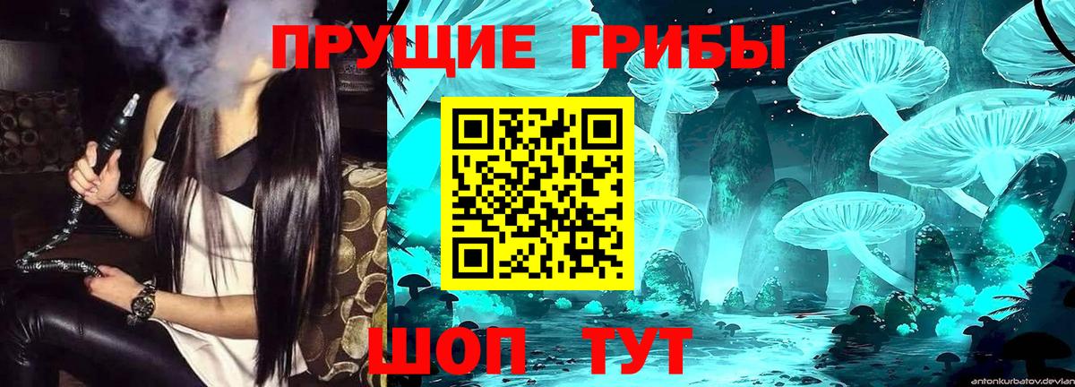 Заречный  Псилоцибиновые грибы Psilocybine cubensis  Галлюциногенные грибы Psilocybine cubensis  Вход с VPN 